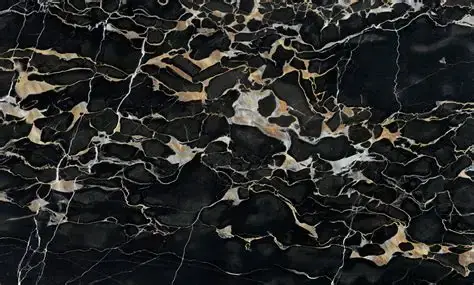 BLACK PORTORO MARBLE