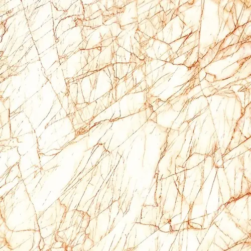 SPIDER GOLD MARBLE